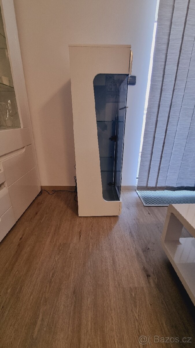 PROSKLENÁ SKŘÍŇKA - 3