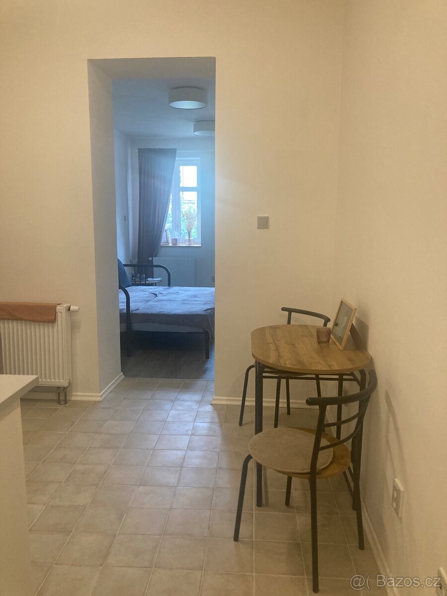 Byt 1+1 Litoměřice - 3