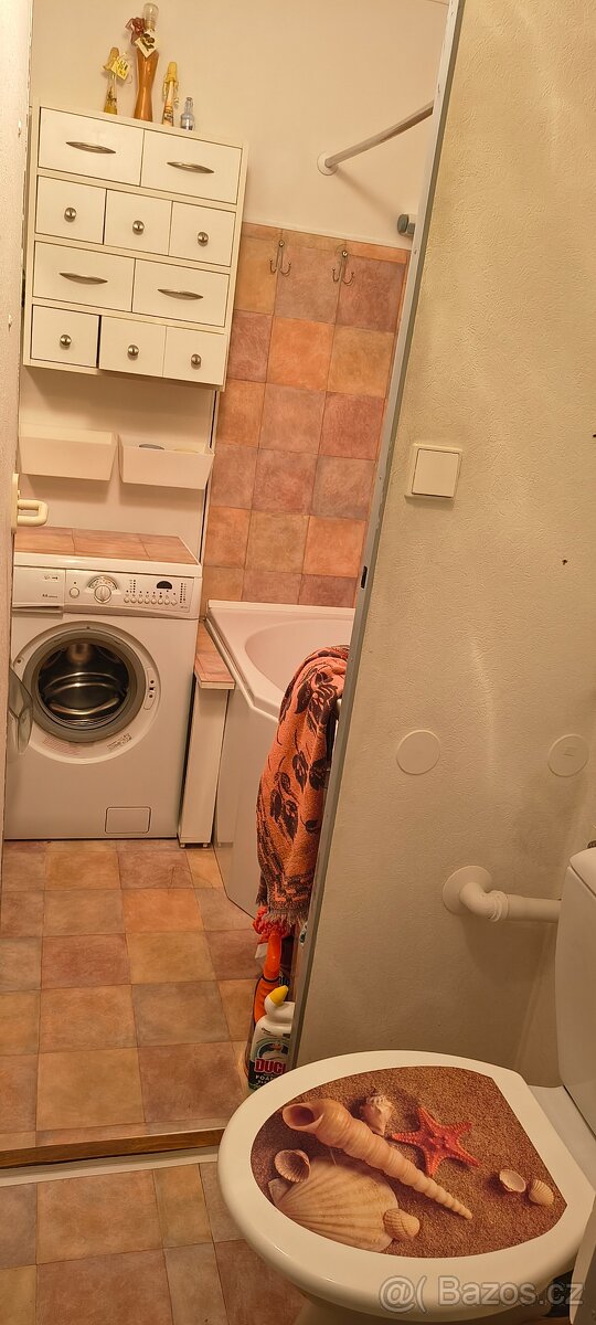 Pronájem bytu 2+1(58m2) - 3