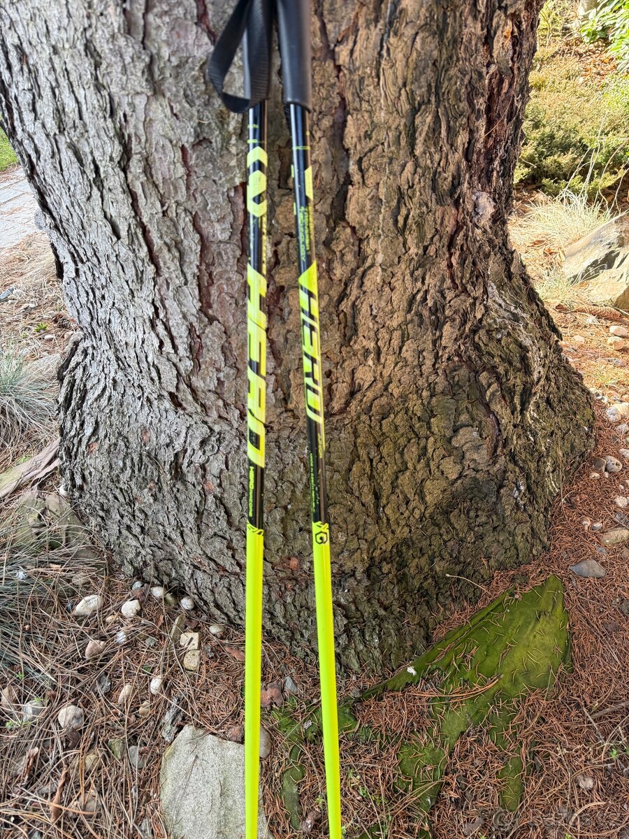 Hůlky na běžky junior vel 110 - 3