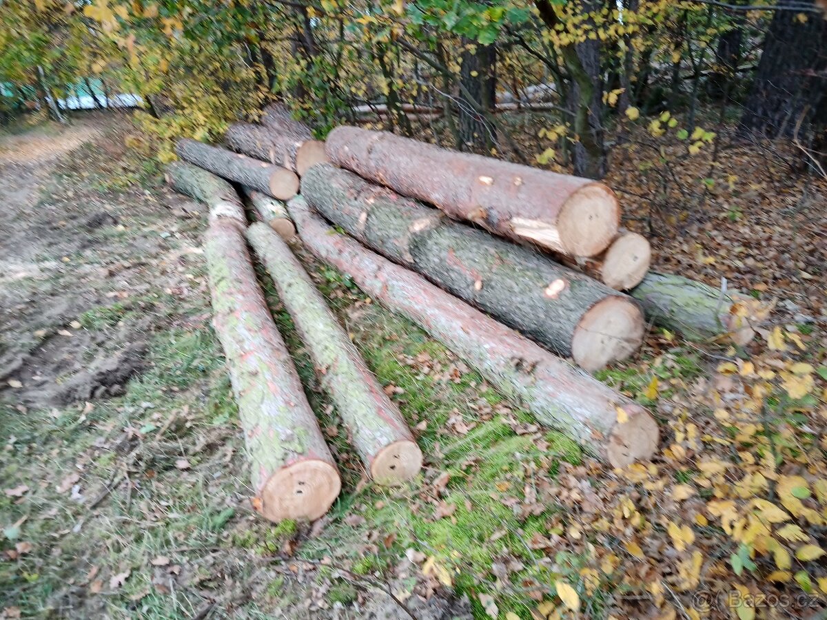 Modřínová kulatina dl. 4,0 m - 3