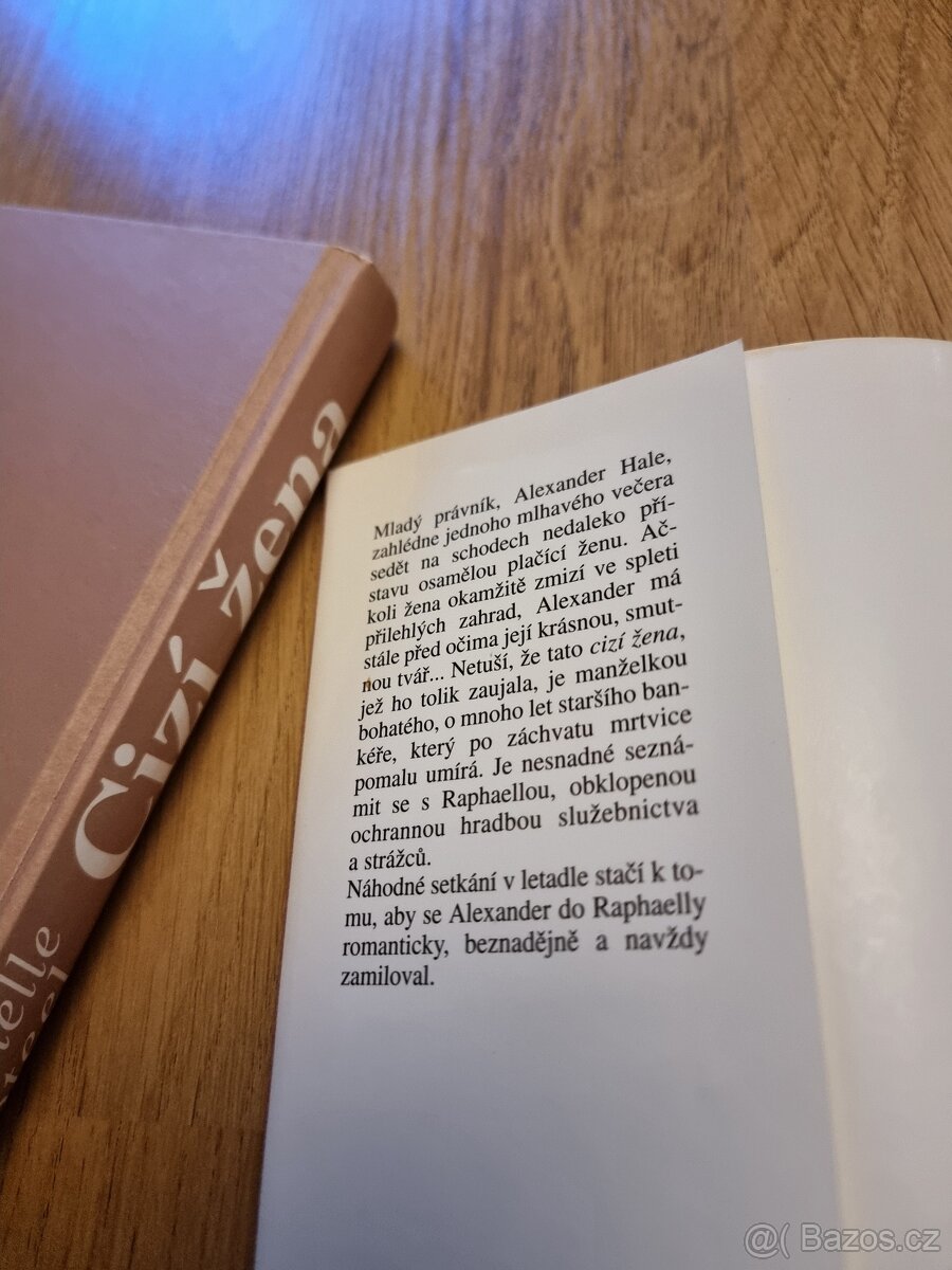 Danielle Steelová - 3