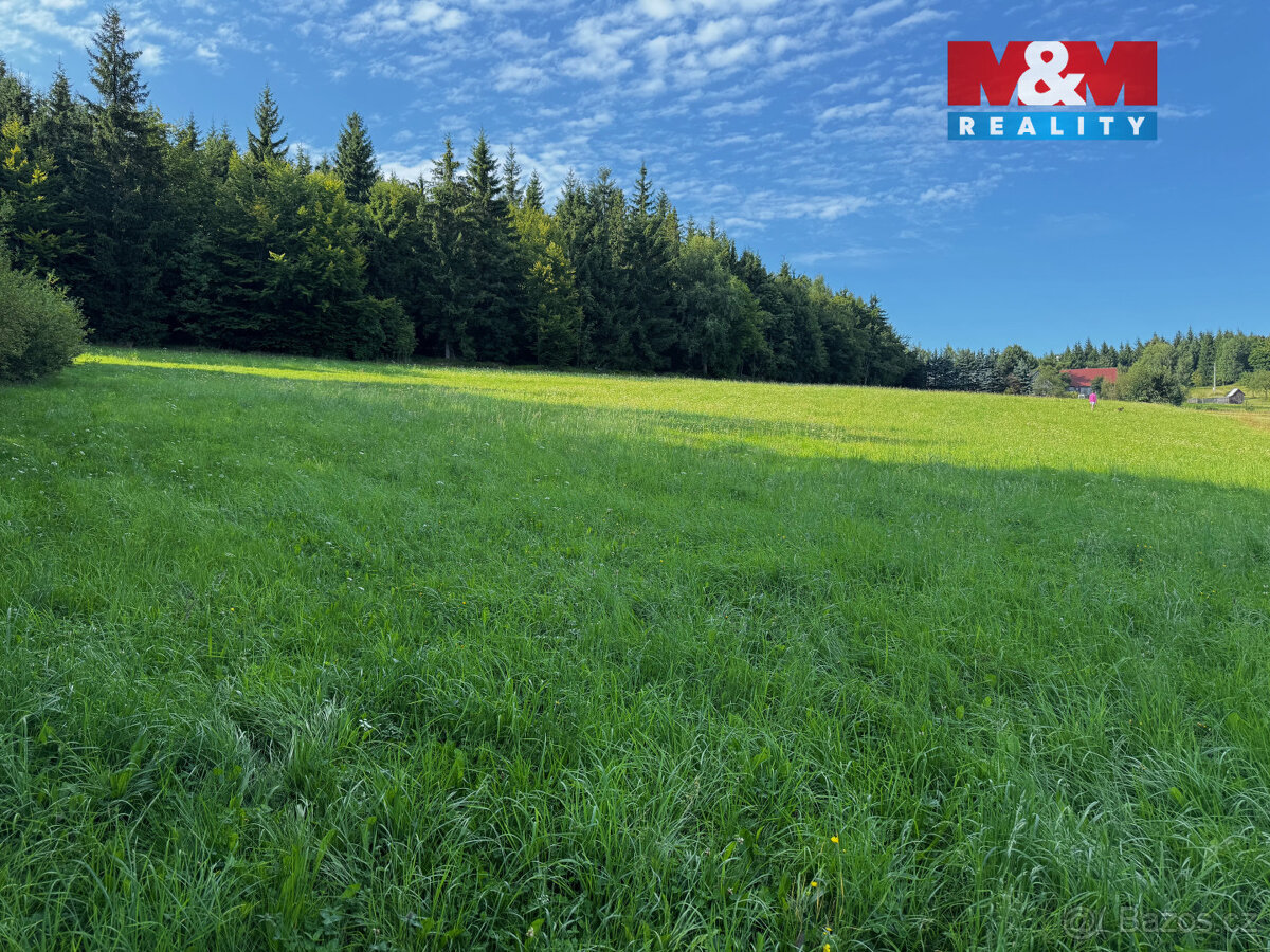 Prodej louky v Kořenově - Rejdice - 3