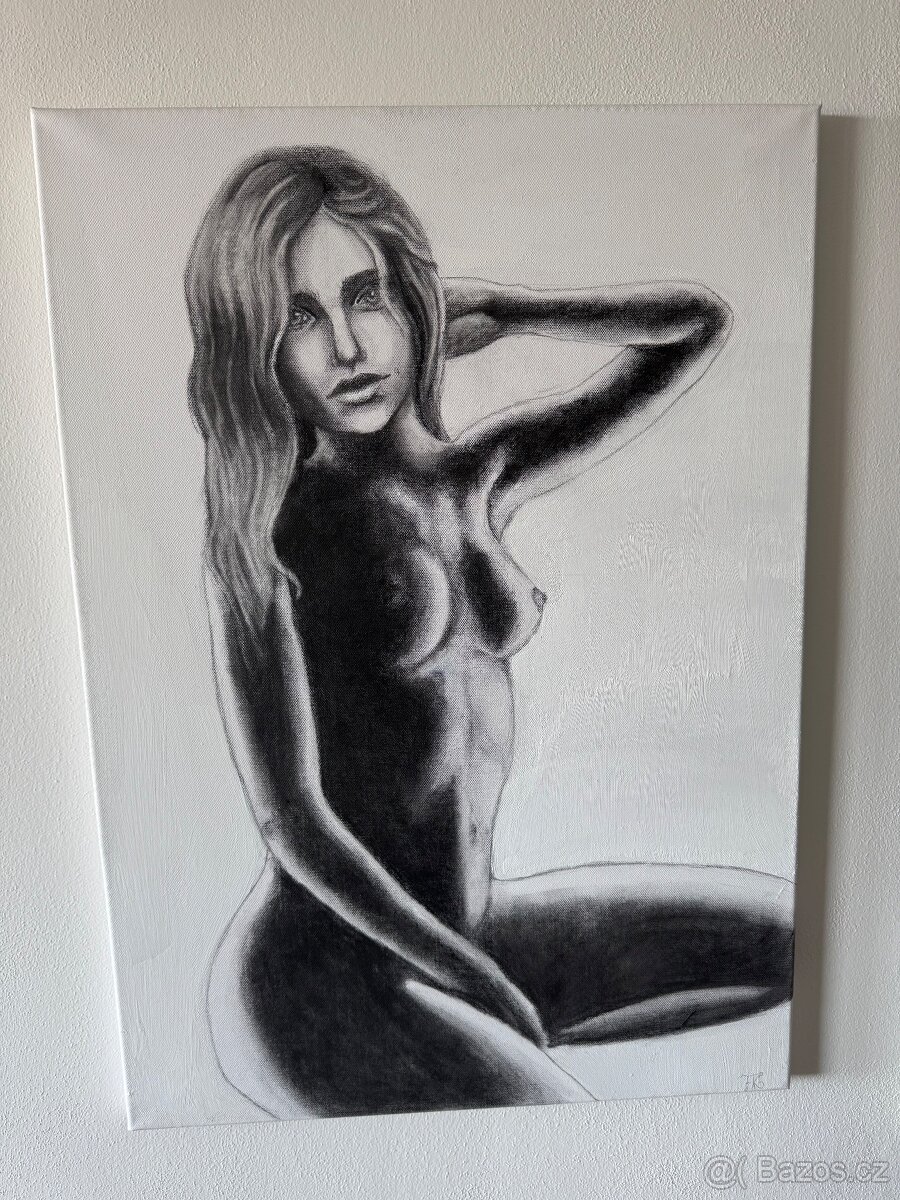 Obrazy ženský akt 50x70 2ks - 3