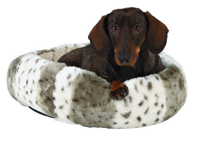 Pelech pre zvieratá - 3