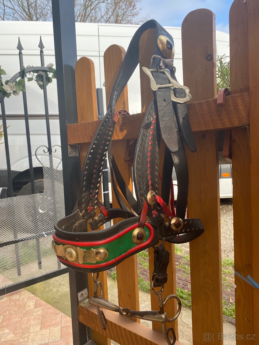 Prodám formanskou ohlávku - 3