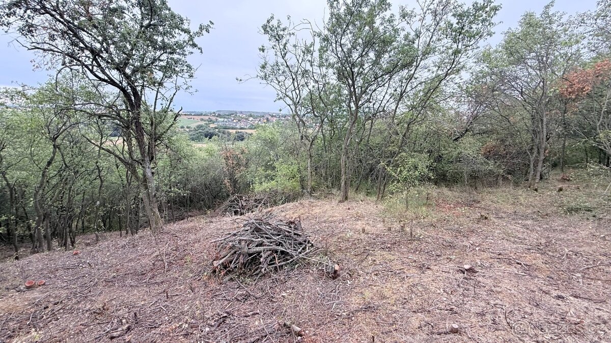Prodej zahrady, Brandýsek u Kladna - 3