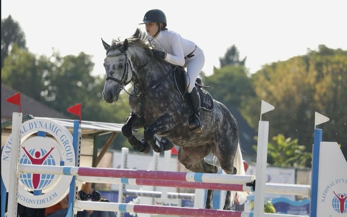 Luxusní klisna do chovu a rekreaci - 3