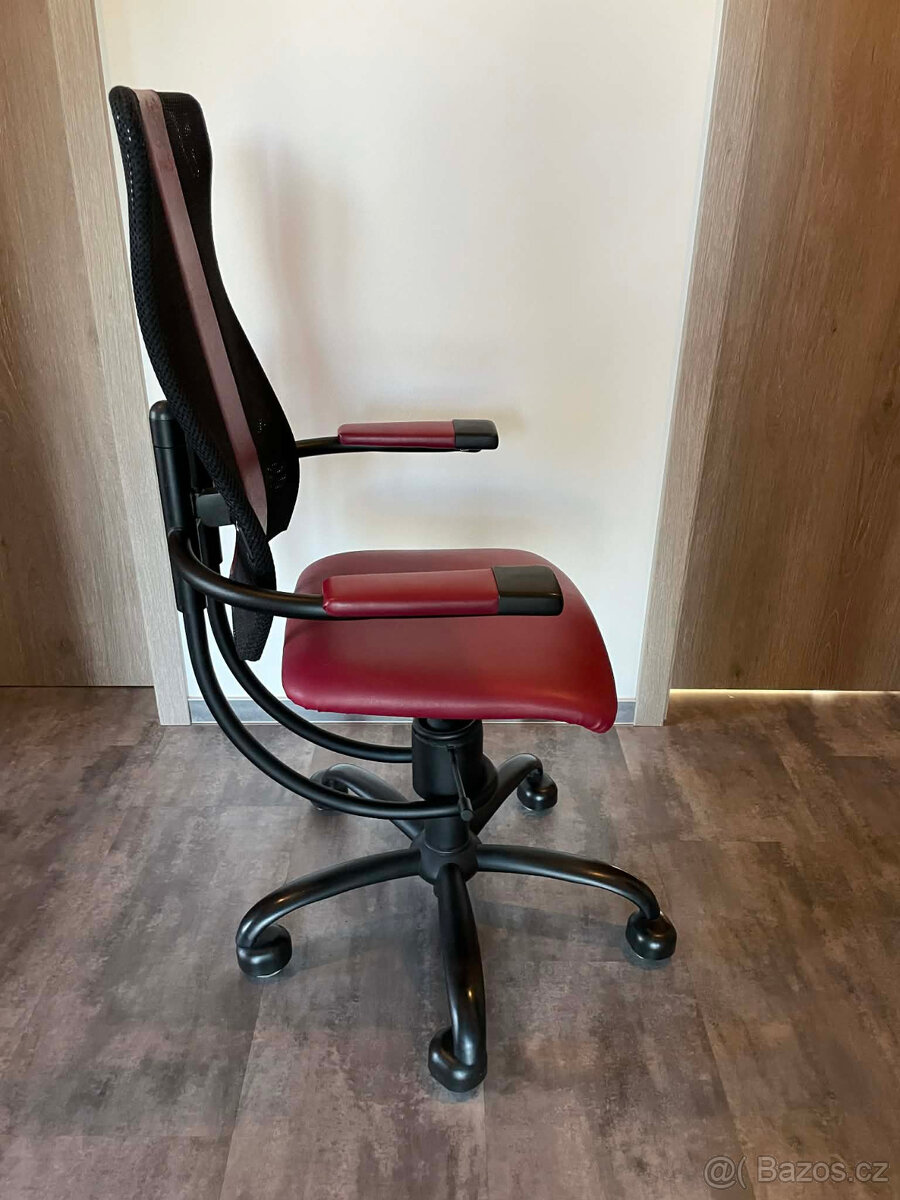 Prodám židli Spinalis Hacker - 3