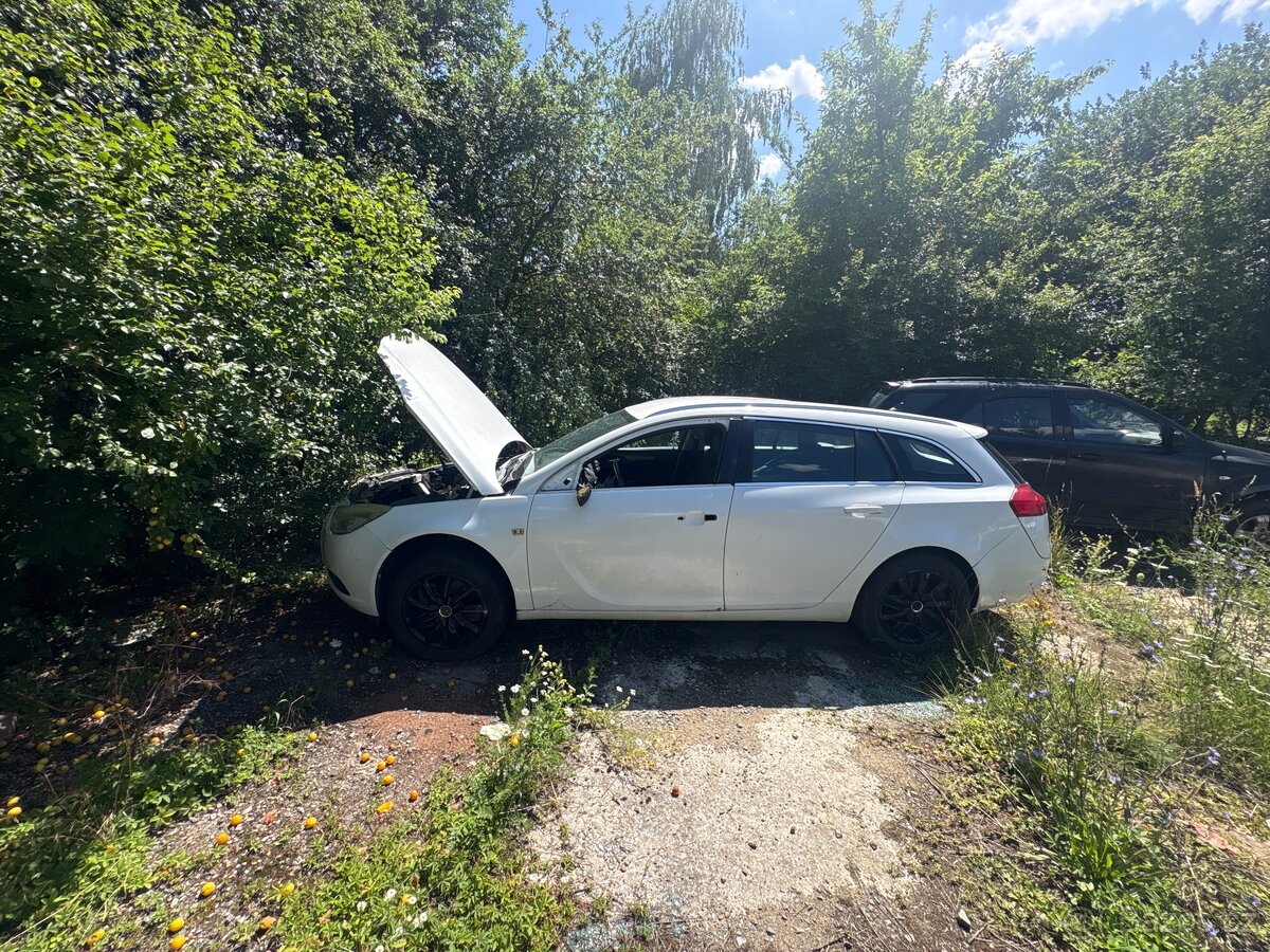 Opel Insignia B Sports. - 3