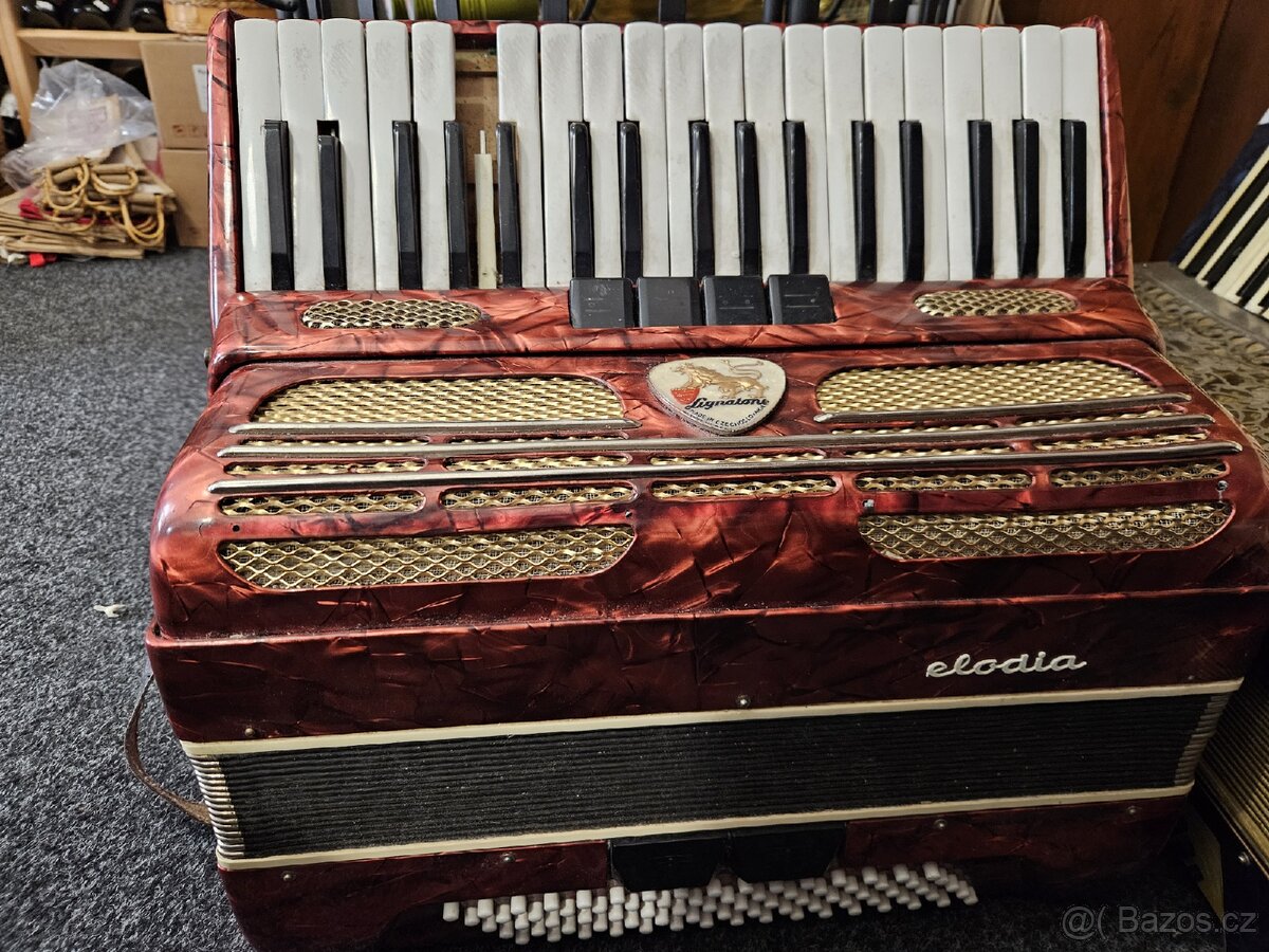 Akordeon - 3