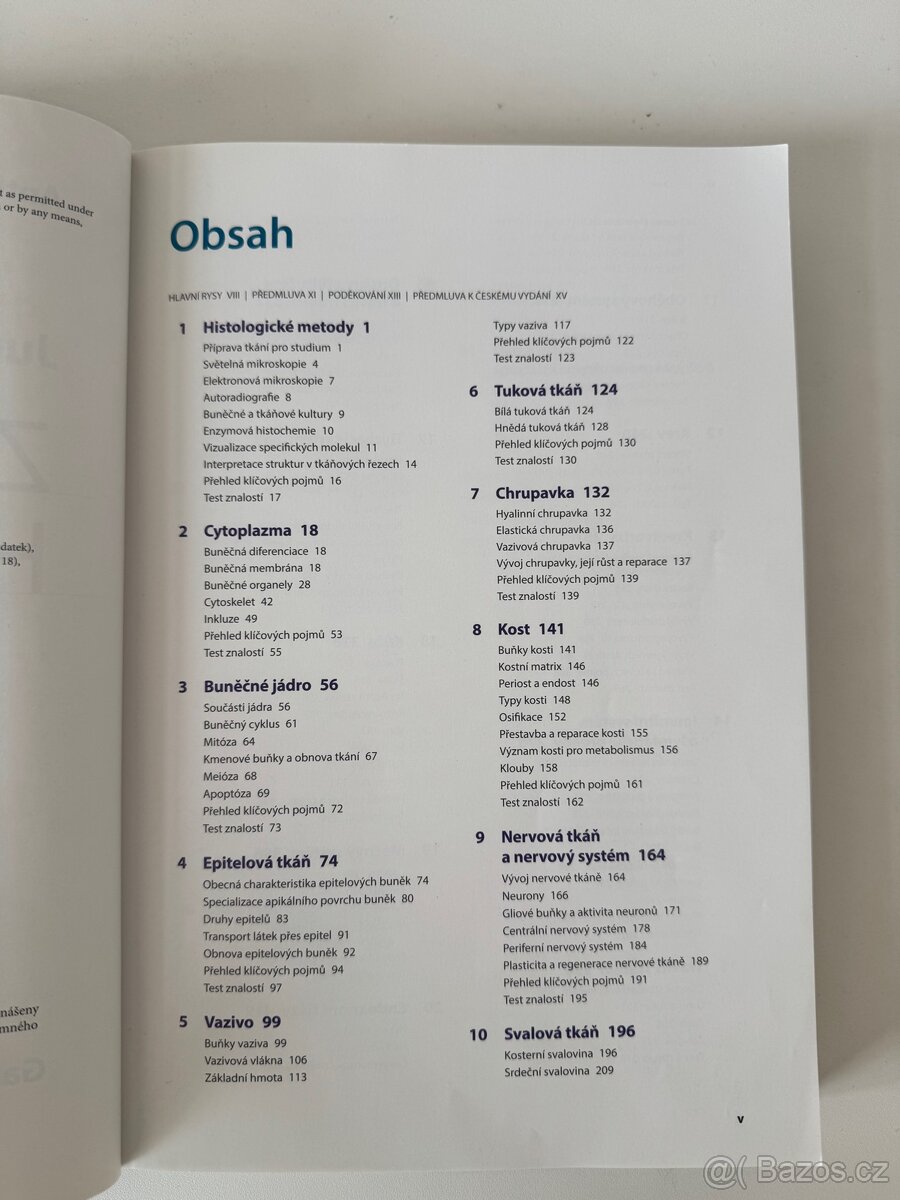 Junqueirovy základy histologie - 3