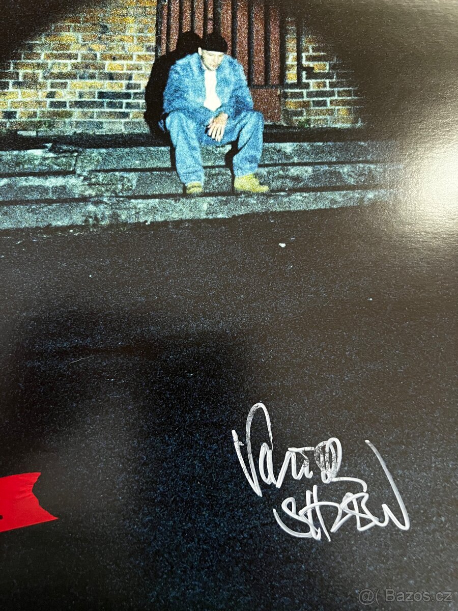 Viktor Sheen LP Impostor Syndrom - 3