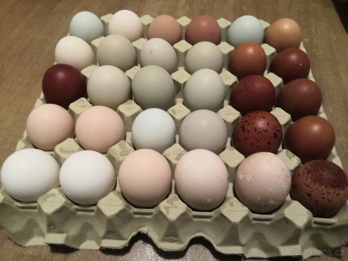 Násadové vejce mix - 3