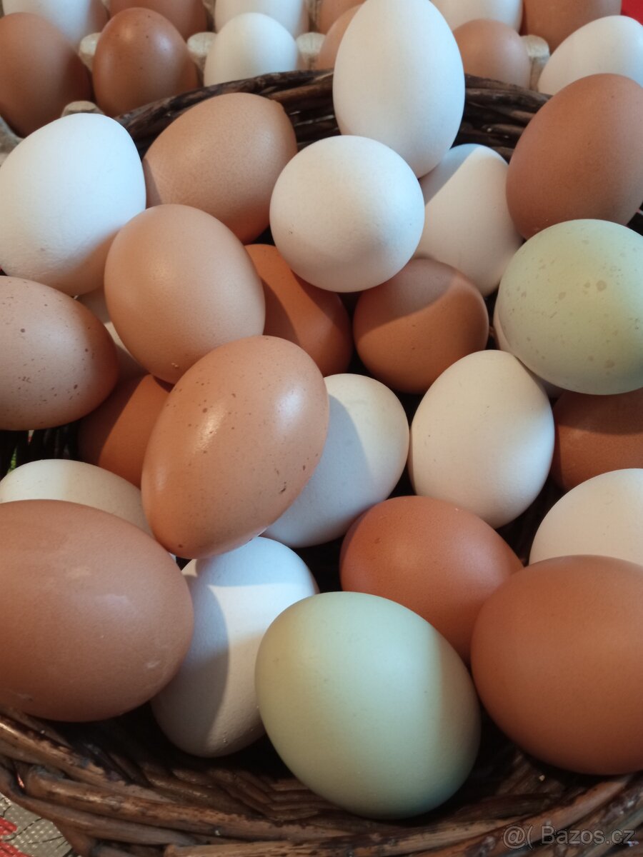 DOMÁCÍ VAJÍČKA - 3