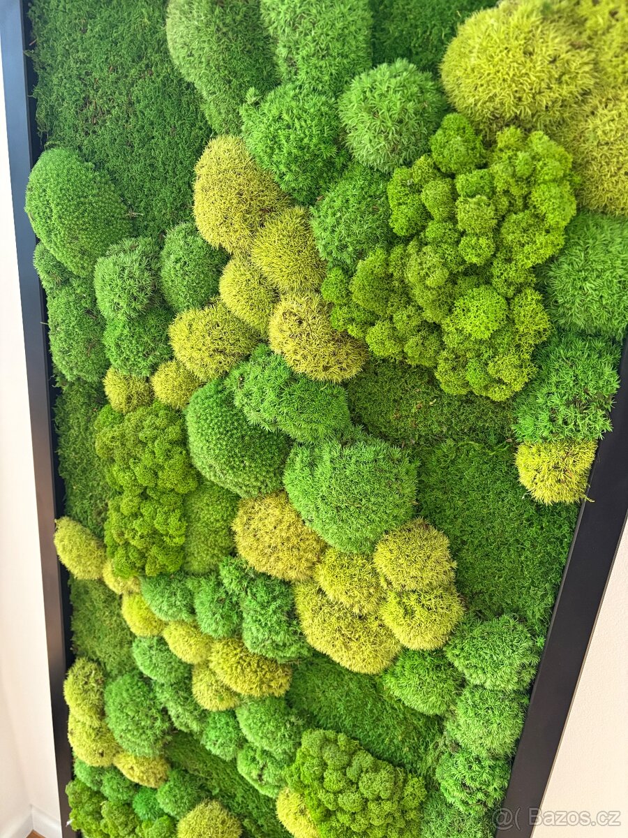 Mechový obraz velký - 3