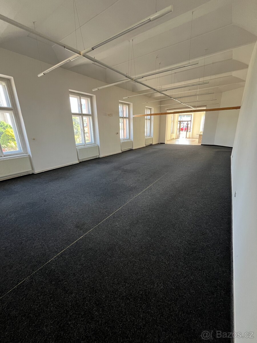 Pronájem nebytových prostor 119 m2 - 3