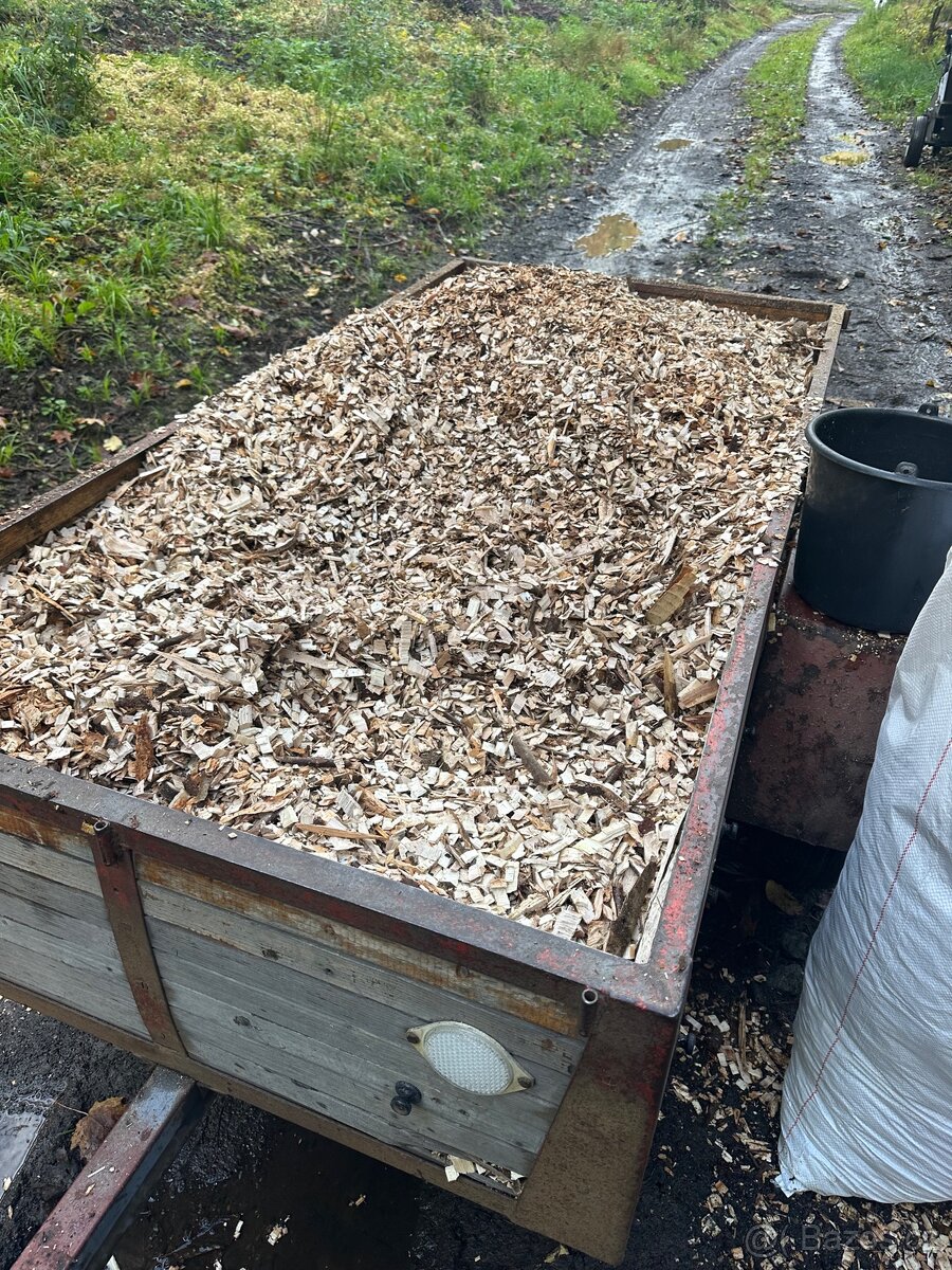 Dřevní stepka.Listnate stromy - 3