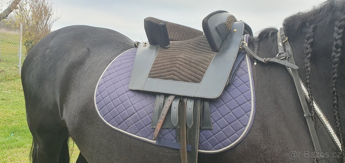 ČERNÉ BAROKNÍ SEDLO - 3