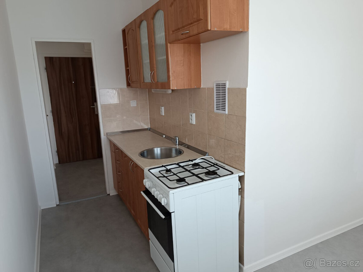 Pronájem bytu 1+1, Ostrava-Poruba (bez provize RK) - 3