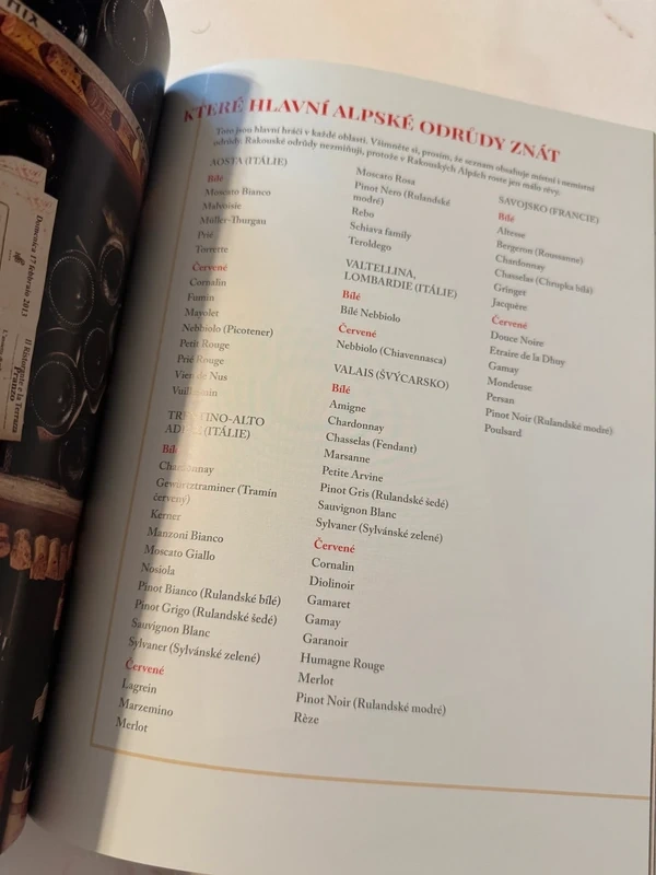 Zažít Alpy - Meredith Erickson - 3