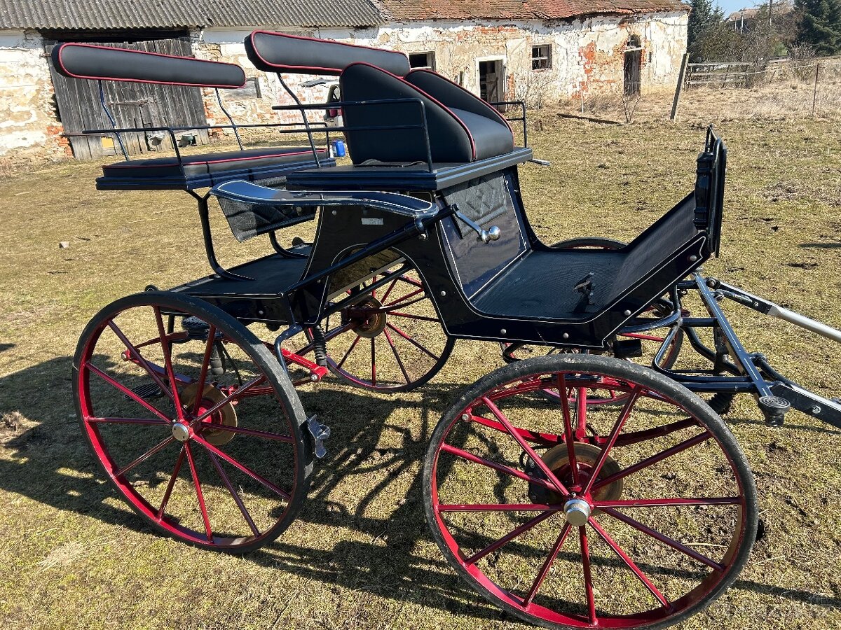 Drezurní kočár - 3