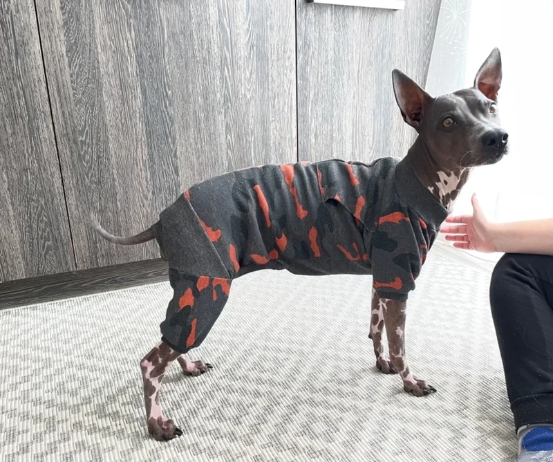 Maskáčový overal pro psy teplá bavlna mikina 48cm - 3