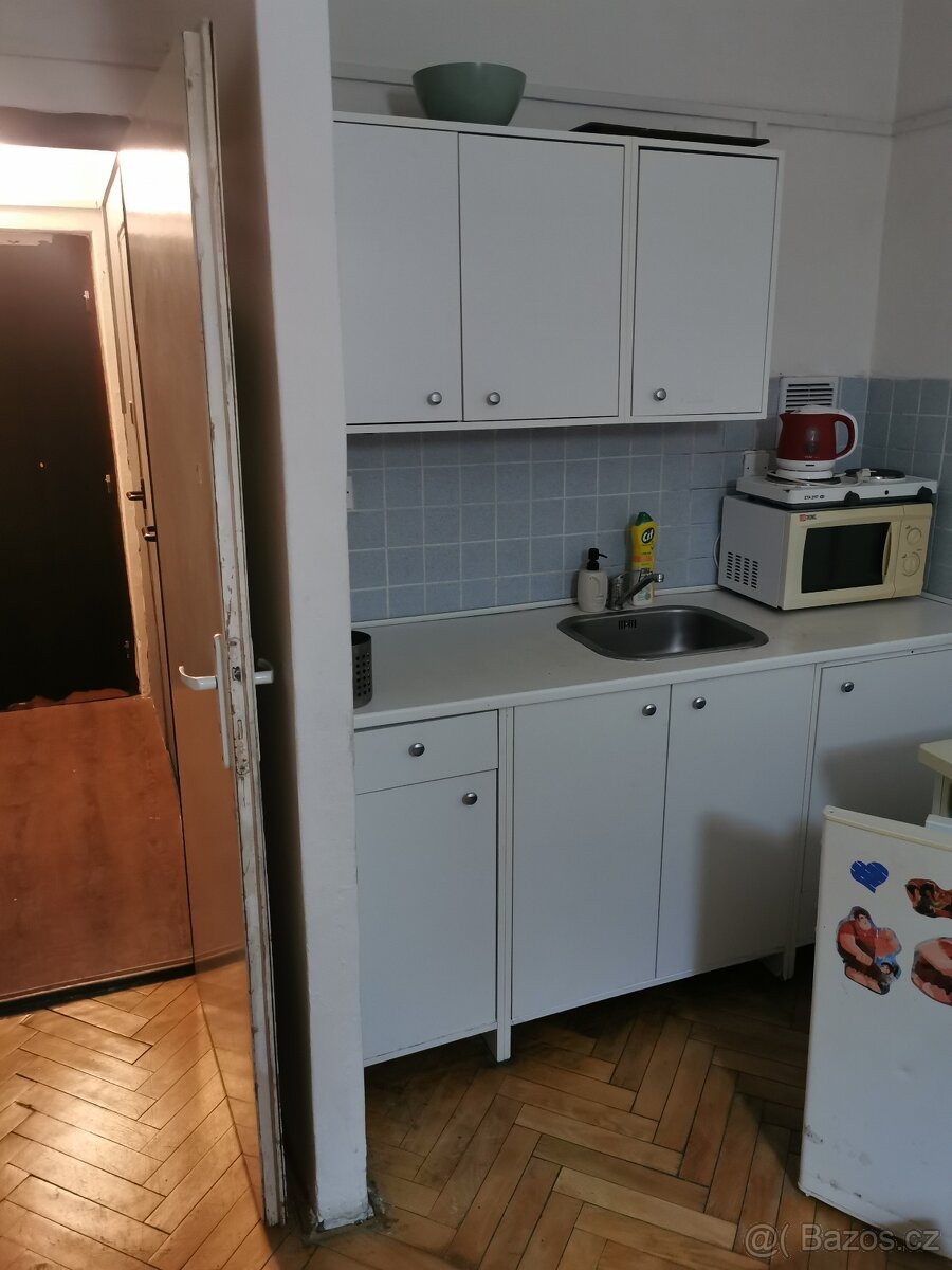 Pronájem 1+kk Vítkovice - 3