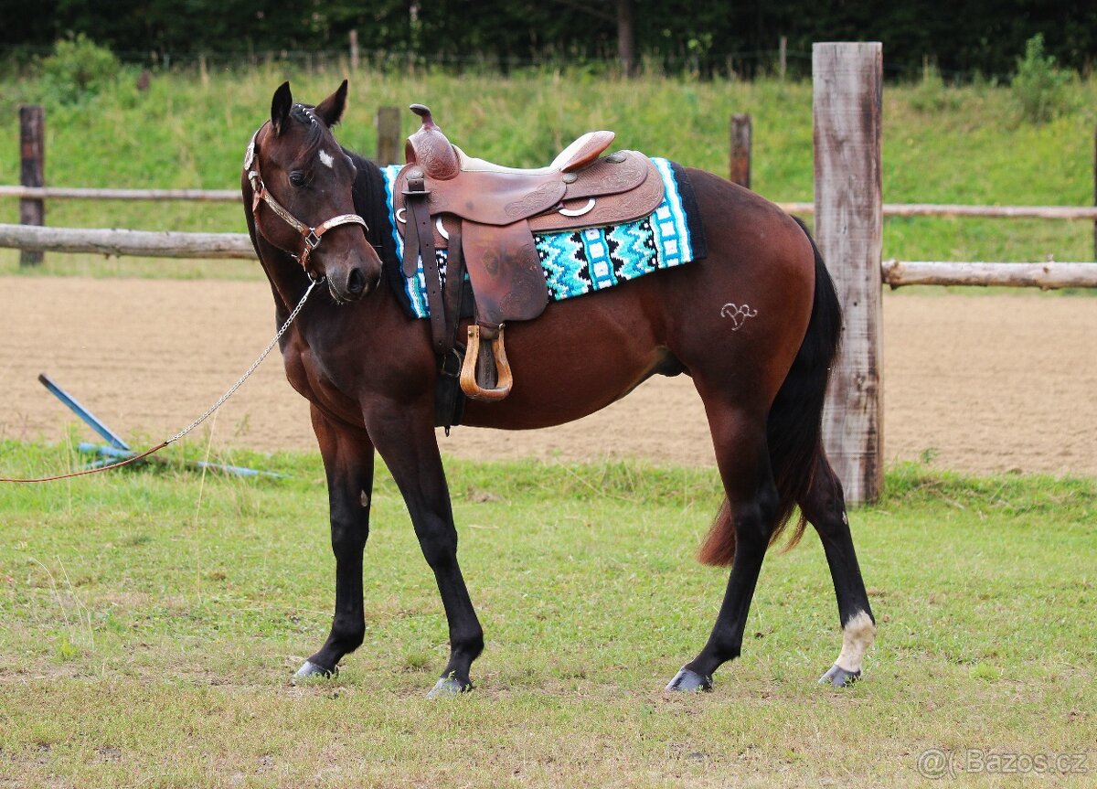 Na prodej: BR Electric Spook - 3