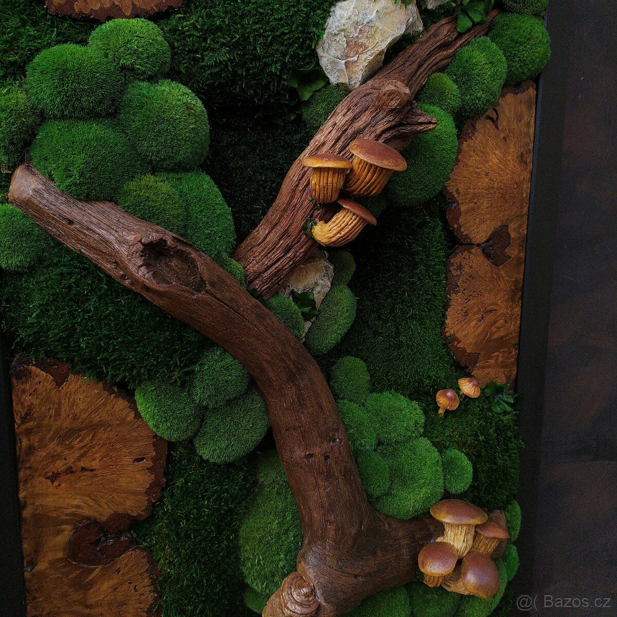 Mechový obraz / obraz ze stabilizovaného mechu - 3