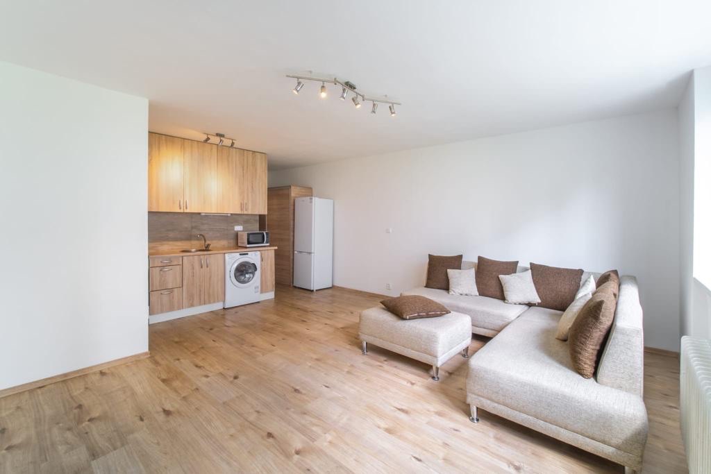 Pronajmu hezký byt v Meziboří - 3