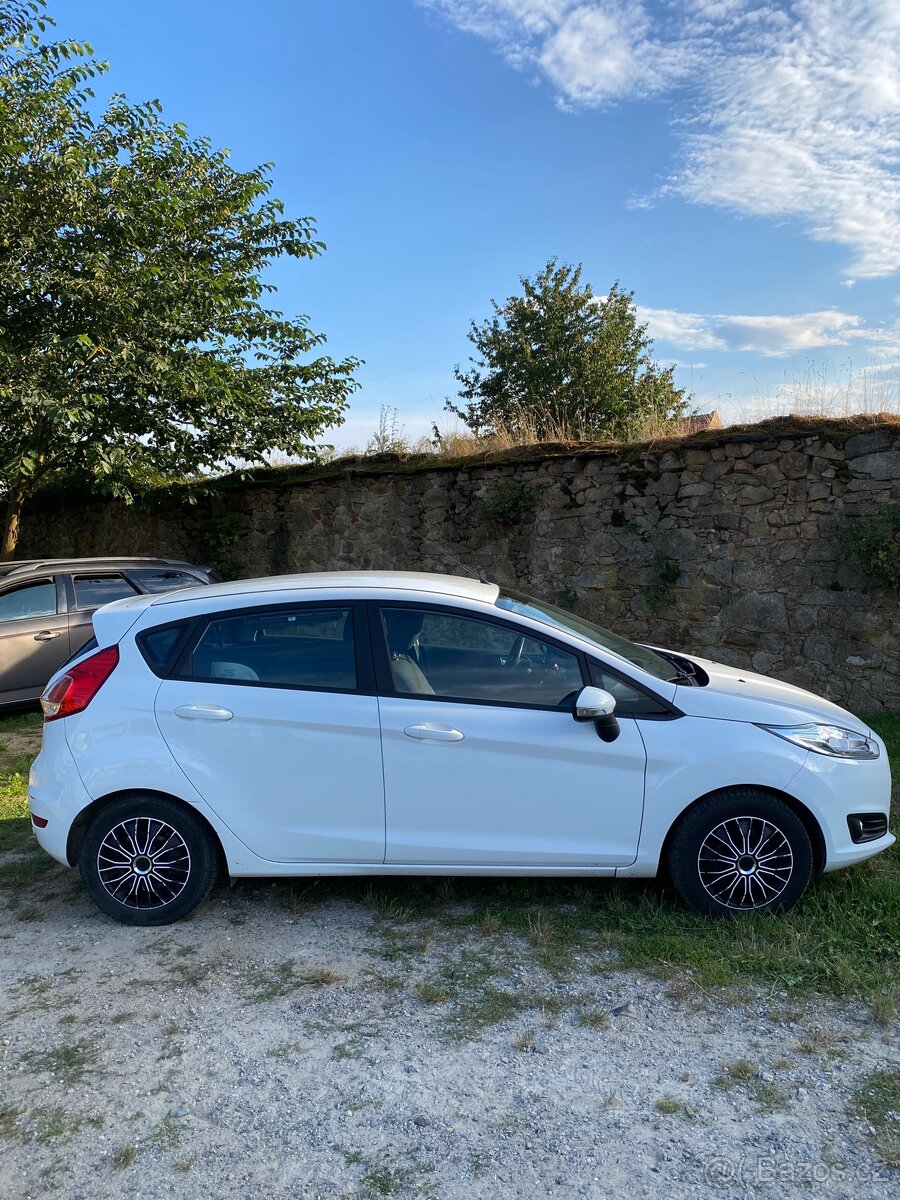 Forf Fiesta 2015 - 3