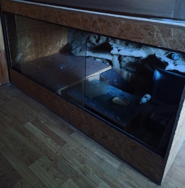 Prodám velké terárium - 3