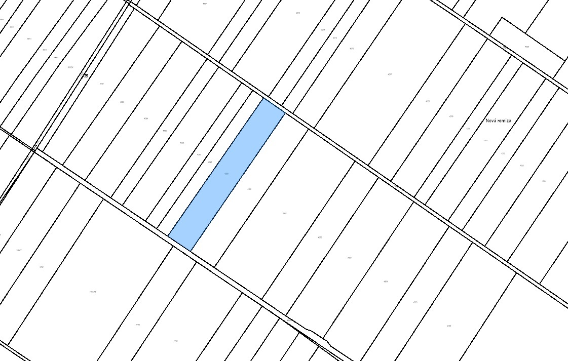 Pole v Moravském Žižkově - 3