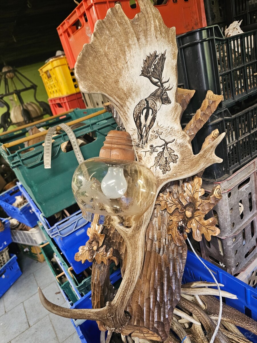 Paroží,trofeje,shozy - 3