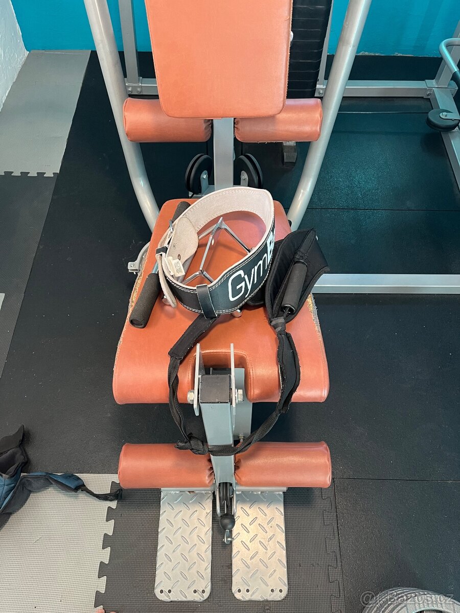 Finnlo Posilovací Věž (Multigym) – Funkční, ale na renovaci - 3