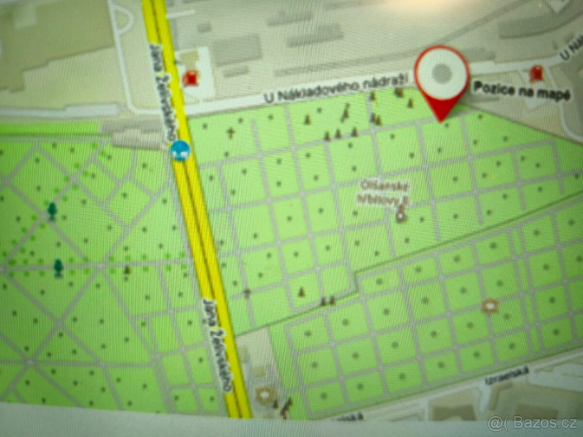 hrob na Olšanech - 3