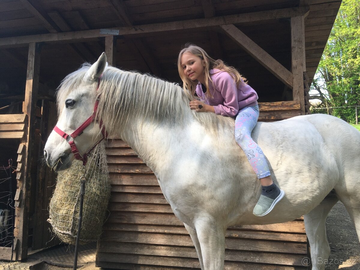 Sháním parťáka na druhého koně - 3