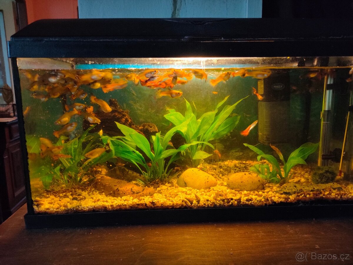 Akvárium kompletní - 3