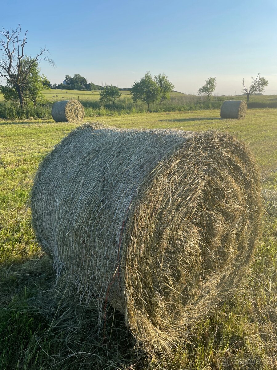 Seno - kulaté balíky - 3