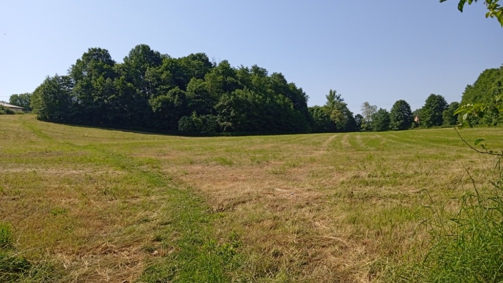 Petřvald 19 320 m2. - 3