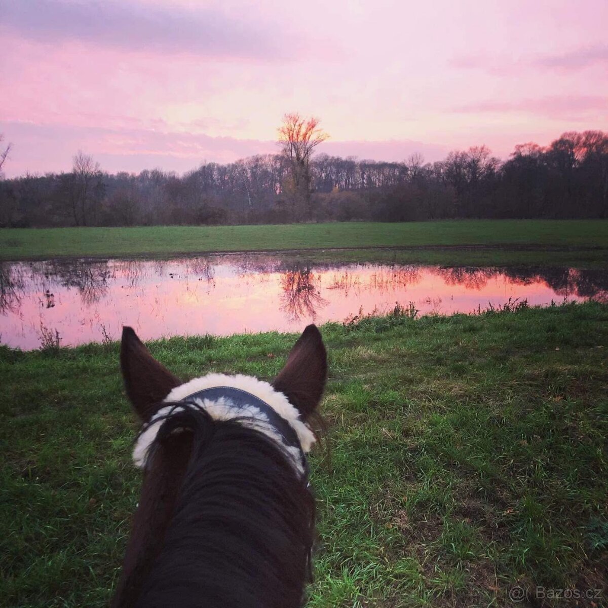 Boxové ustájení - 3