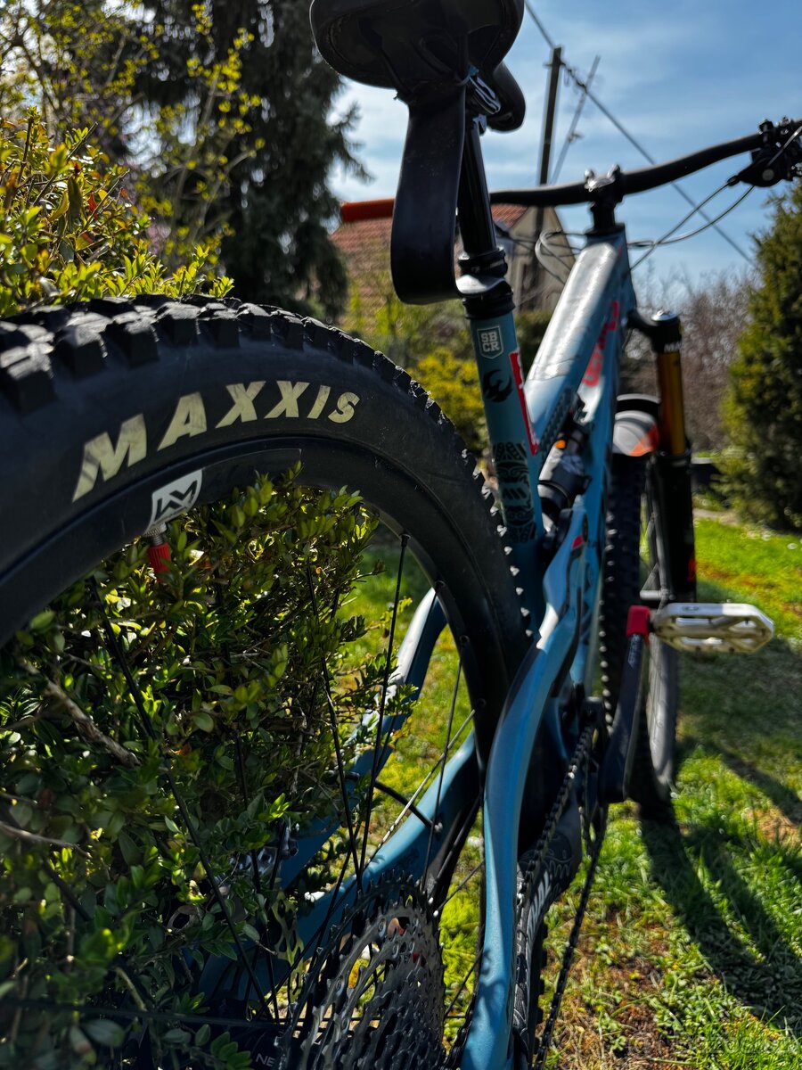 Pivot Firebird 2022 L - 3
