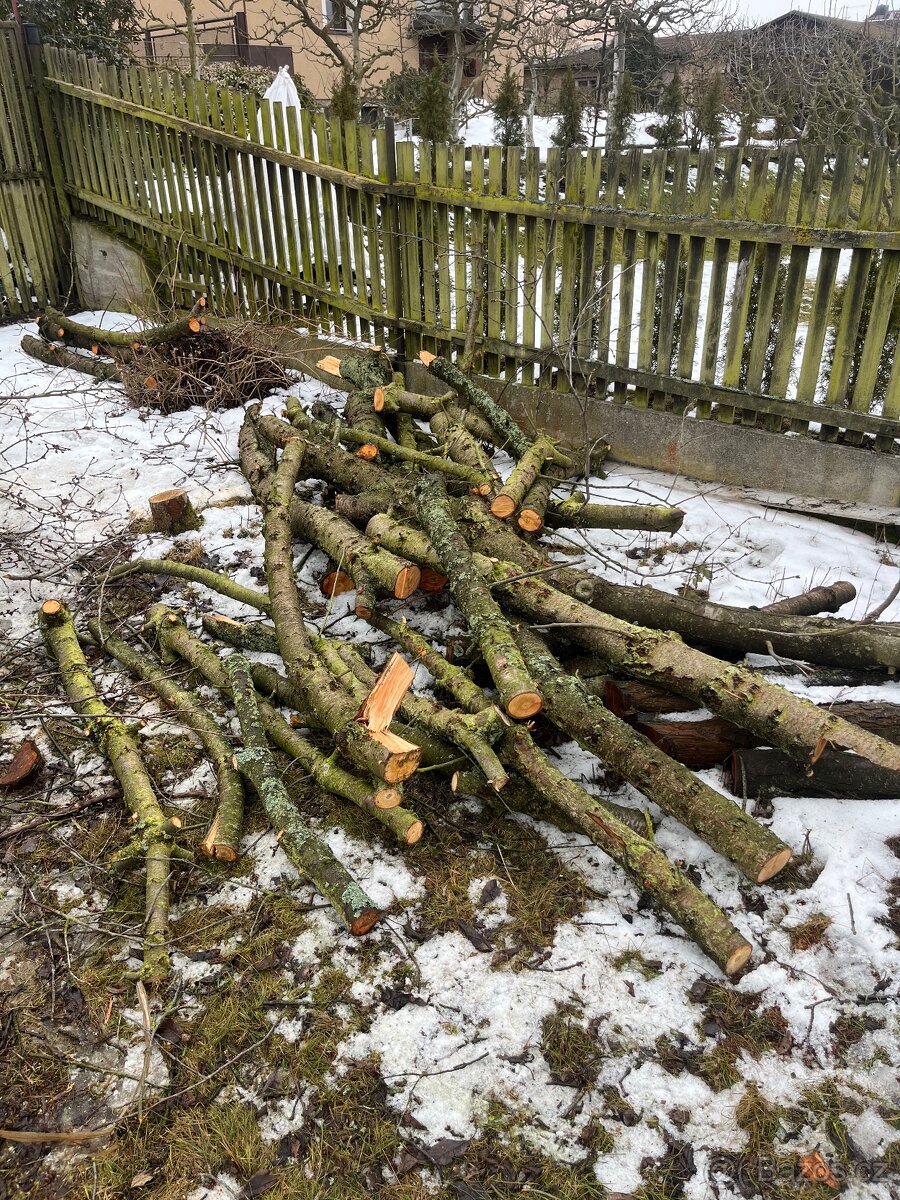 Dřevo z třešně - 3