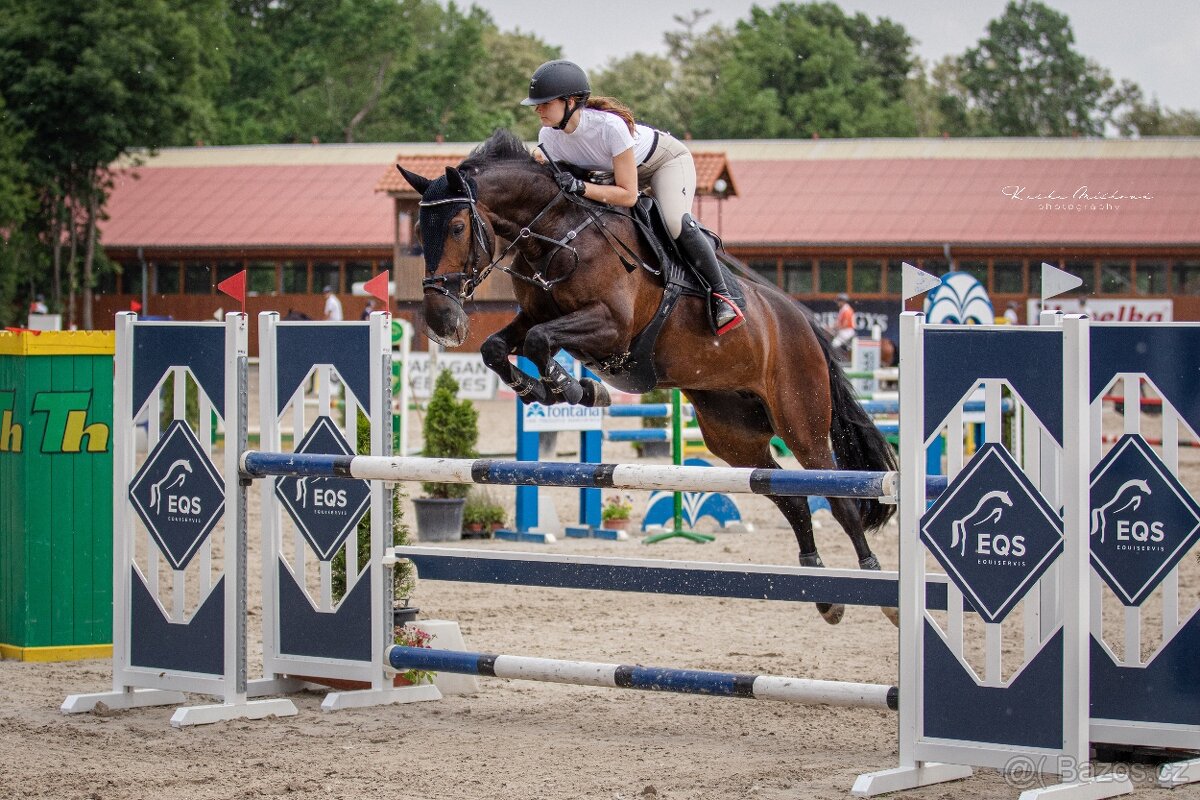 12letá klisna po Drosselklang II - 3