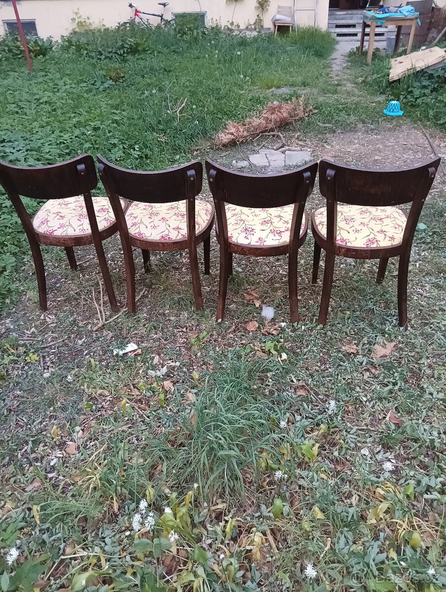 Židle - THONET - 3