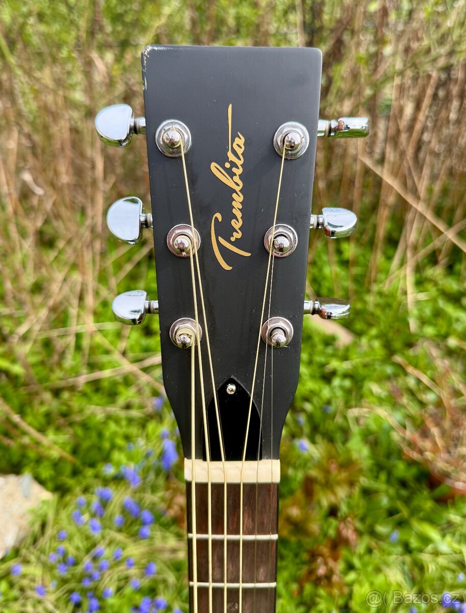 Kytara Trembita D7C - 3