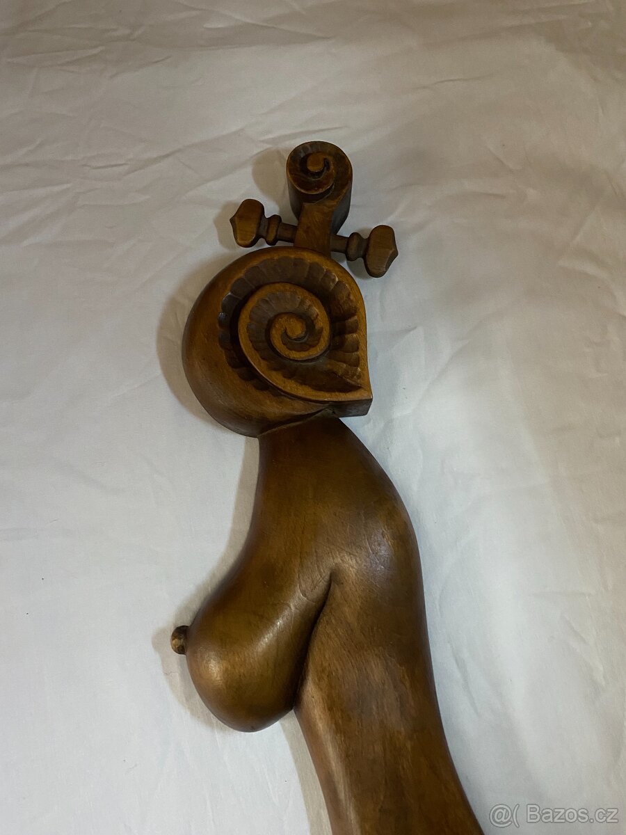 Afričanka tmavá - 3