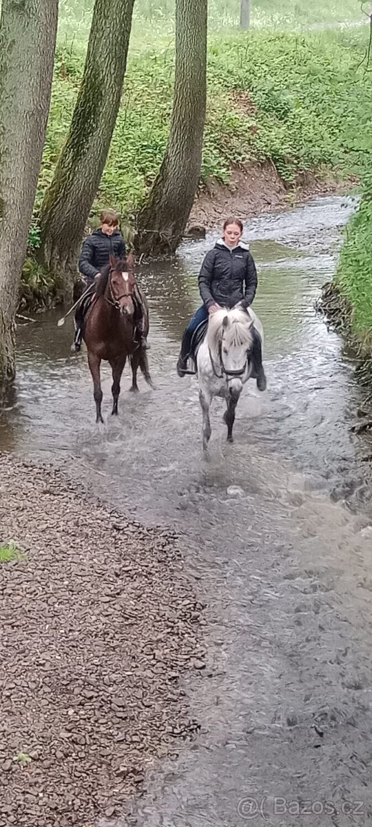 Pony klisna kat. A - 3