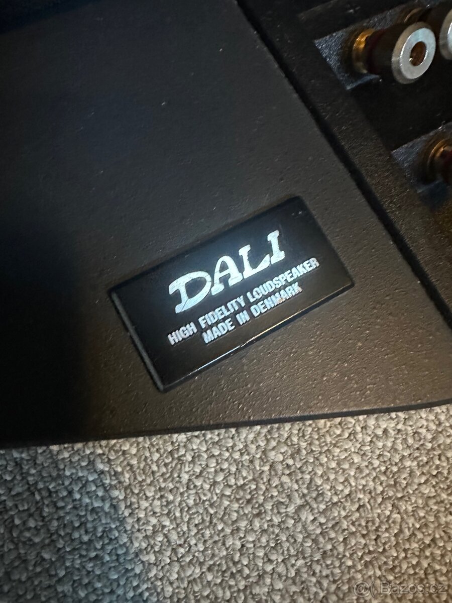 High-End Dali Skyline 1000 - 3